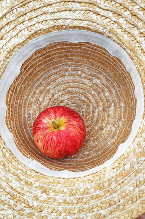freshly harvested apple in hatの写真素材