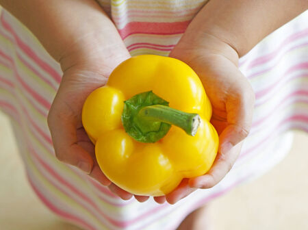 Hand holding yellow pepper bellの写真素材