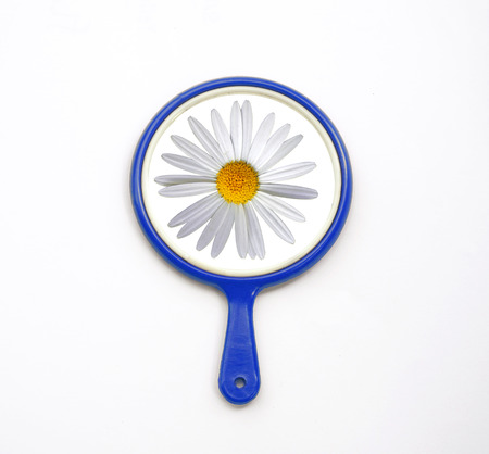 Hand mirror with reflection of daisy flower isolate on whiteの写真素材