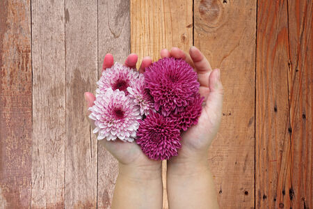 Purple flowers in children handsの写真素材