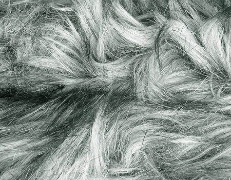 Gray fur texture fragment as a background