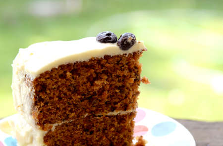 carrot cake (close up)の写真素材