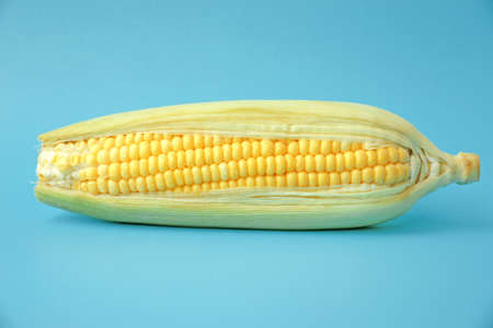 Fresh corn