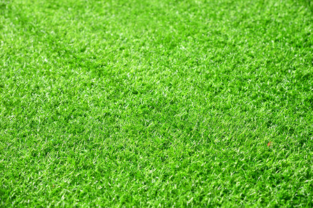 Beautiful green grass texture from golf courseの写真素材