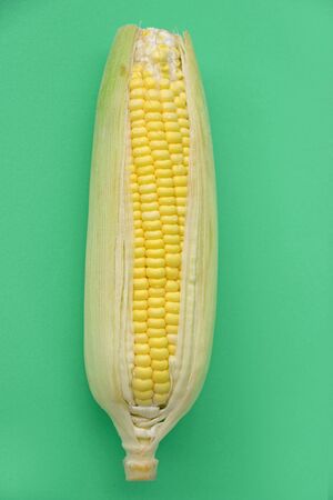 Fresh corn (pop art style)の写真素材