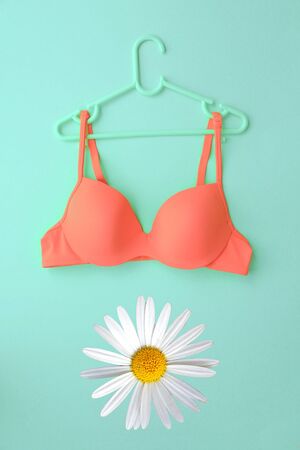 Spring concept, Bra on hanger with white daisy flower on blue background.の写真素材