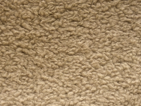 carpet texture