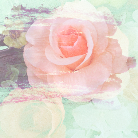 Vintage rose painted with brush stroke on wall backgroundの写真素材