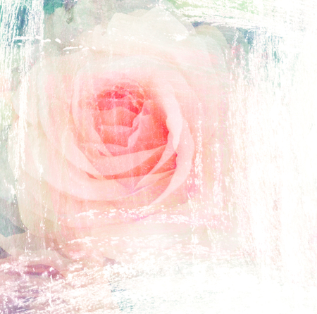 Flower beautiful rose, art paint illustration for backgroundの写真素材