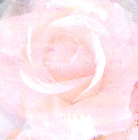 Sweet flowers in vintage color on paper textureの写真素材