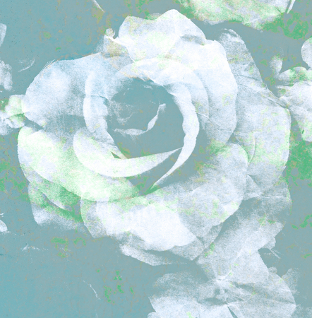 Vintage pastel tone rose flower on paper background