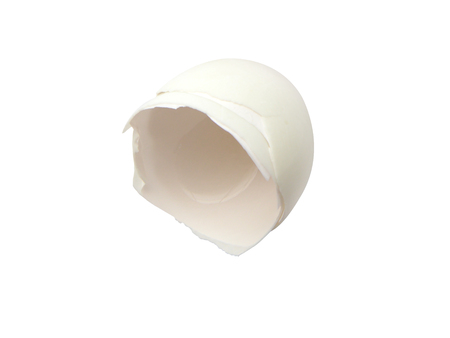 Egg shell isolate on white (clipping path)の写真素材