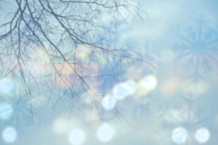 Wintertime, tree branches and light bokeh blurred background. Snowflakes.の写真素材