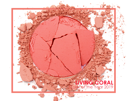 Living coral - Pantone 2019. Make up cosmetic powder brush.の写真素材