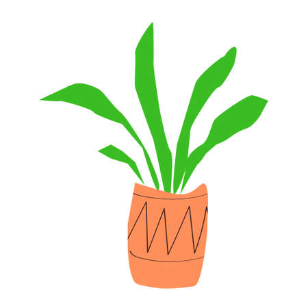 Home flower in a high pot with an ornament. Hand drawn simple flat plant with long green leaves.のイラスト素材