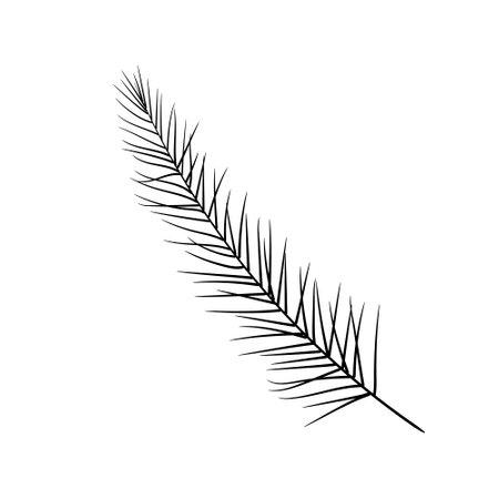 Fir sprig symbol of Christmas and New Year winter holidays. Hand drawn black doodle sketch clip art. Stock vector illustration isolated on white backgroundのイラスト素材