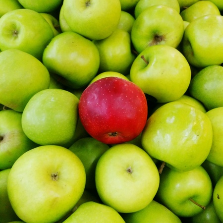 Red apple surrounded by green appleの素材