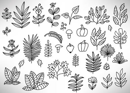 Big Floral Set of black hand drawn flowers, bushes, leaves, branches isolated on white. Collection of flourish elements for design. Vector illustration.のイラスト素材
