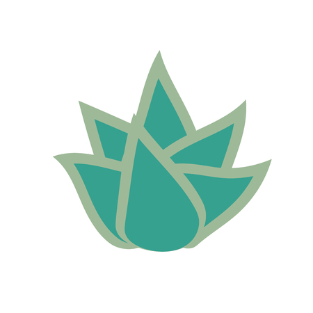 Succulent flower isolated on white background. Plant icon. Bush isolated. Vector illustration.のイラスト素材