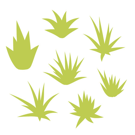 Aloe vera, succulent plant, flower set isolated on white background. Vector illustration.のイラスト素材