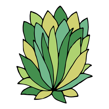 Hand drawn doodle bush isolated on white background for coloring book. Vector illustration.のイラスト素材