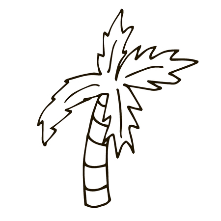 Cartoon doodle linear palm isolated on white background. Vector illustration.のイラスト素材