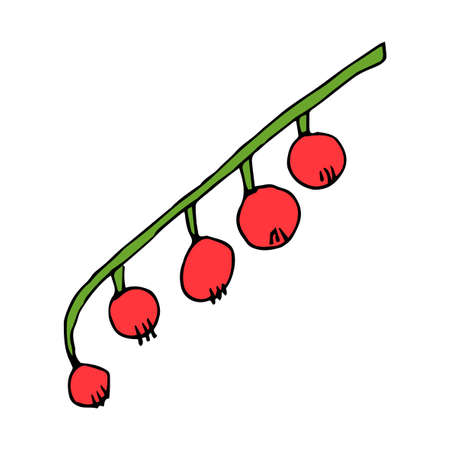 Cute doodle Red Ribes berries isolated on white background. Vector illustration.のイラスト素材