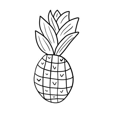 Cute hand drawn pineapple isolated on white background. Cartoon pineapple.のイラスト素材