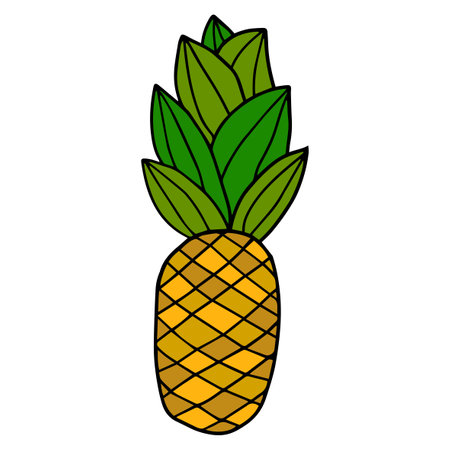 Cartoon hand drawn doodle pineappleのイラスト素材