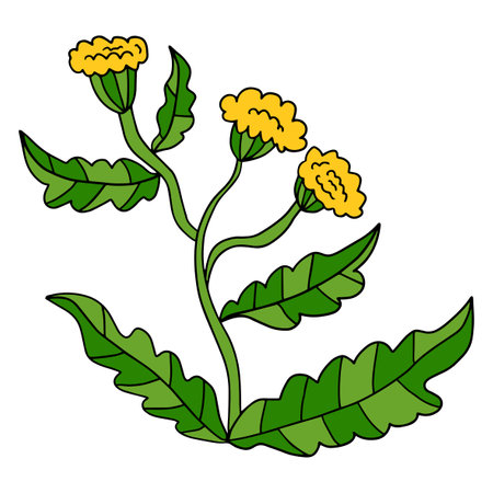 Fantasy cartoon doodle flower with leaves isolated on white background.のイラスト素材