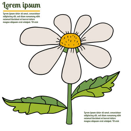 Colorful fantasy doodle cartoon flower isolated on white background.のイラスト素材