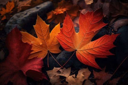 Red and orange autumn maple leaves laying on the forest ground. Generative AI. Generative AI.の素材