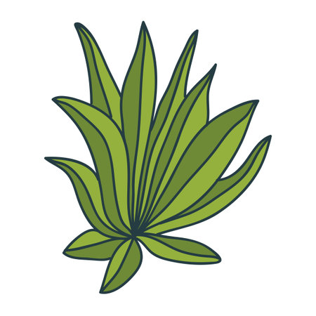 Thin line doodle bush or bunch of grass isolated on white background. floral element.のイラスト素材