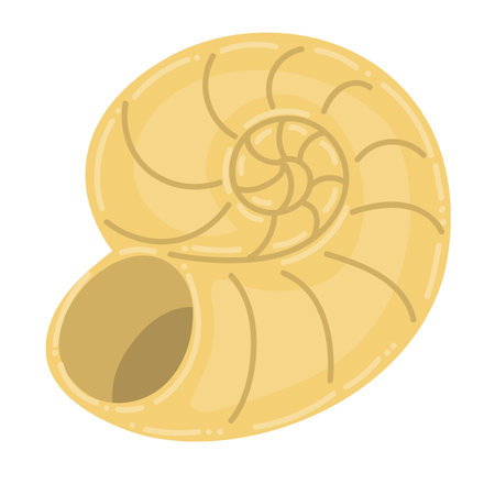 Cute cartoon empty sea shell isolated on white background. Ocean animal.のイラスト素材
