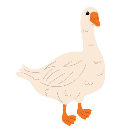 Big white goose standing with orange beak and legs. Simple cartoon flat style with clean lines. Perfect for farm, animal, children, nature, or countryside themed designs and illustrations.のイラスト素材