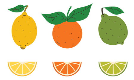 Set of citrus fruits like lemon, lime, orange with leaves and wedges in flat cartoon style. Bright fruit illustration for print, packaging, sticker, textile, card, poster, or web design.のイラスト素材