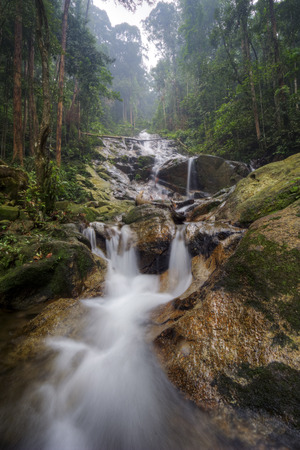 Water stream flowing from waterfall in tropical forestの写真素材