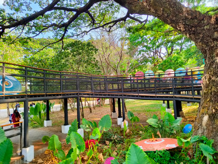 The beauty of the modern classic aesthetic wooden bridge architecture that surrounds the forest with tall, lush treesの写真素材
