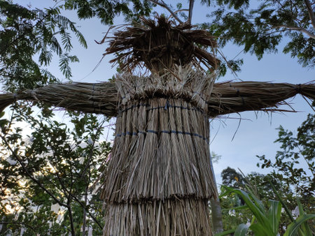 Scarecrows are made of straw wrapped in human clothing to scare away birds from destroying farmers' crops.の写真素材