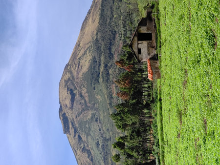 panoramic view of the beautiful mountain plantation area at the foot of Mount Sindoro, Temanggungの写真素材