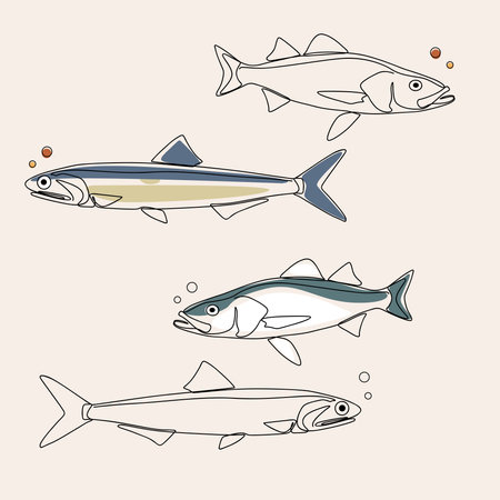 Set of sea fish. Vector illustration in doodle style.のイラスト素材