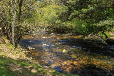 LANDSCAPE OF THE WATER OF THE RIVER FLOODING THROUGH THE DESHIELOSの写真素材