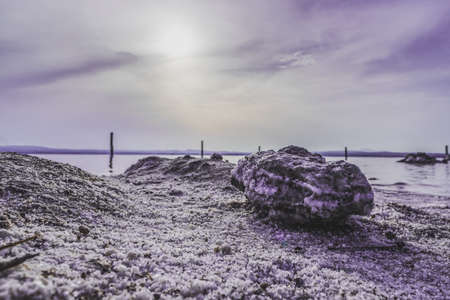 beach and stones full of salt, at sunset