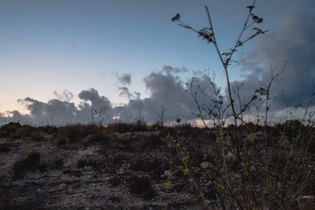 poor landscape with clouds in the skyの写真素材