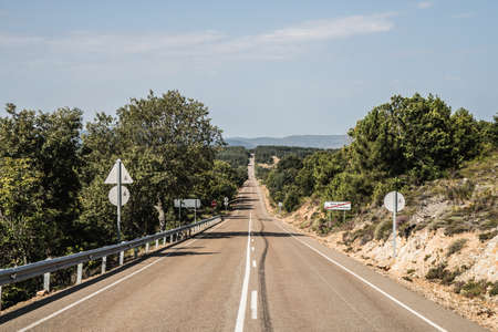 Country road through the forest in the summer.の写真素材