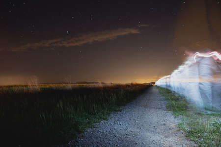 silhouette of grass on the background of the night skyの写真素材
