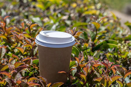 Hand holding a cup, paper coffee cup with delicious coffee, the design of your coffee shopの写真素材