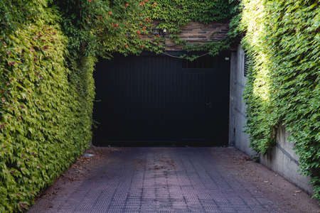 dark garage door with green plants around