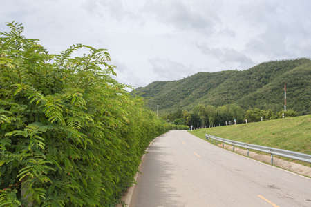 road mountains nature nobody with skyの写真素材