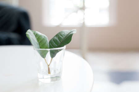 Artificial flowers cup at living roomの写真素材